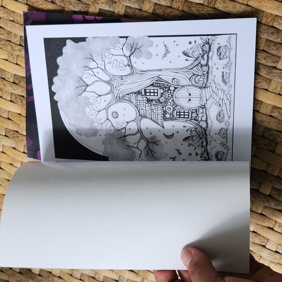 Adult Coloring Book Set - Picture 4 of 7